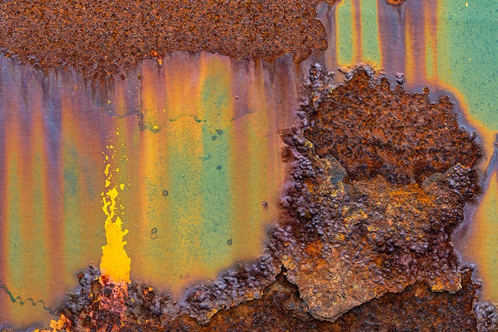 Alaska-Tongass National Forest Rusted metal from an abandoned gold mine